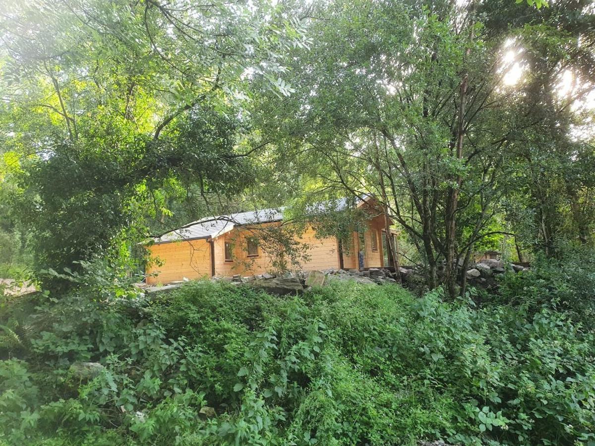 Stunning Log Cabin On The Lake Portroe Экстерьер фото