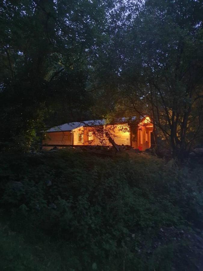 Stunning Log Cabin On The Lake Portroe Экстерьер фото